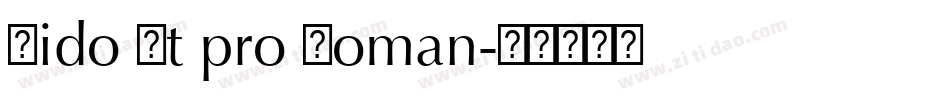 Dido Lt pro Roman字体转换